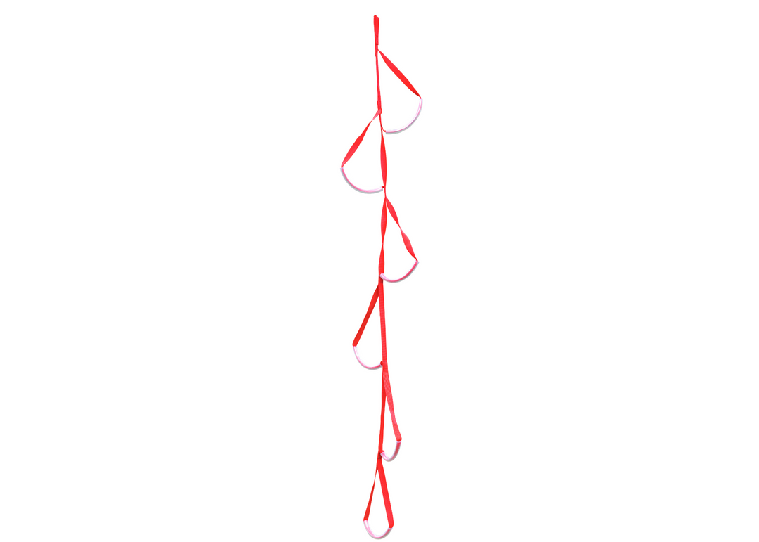 Slackers Ninjaline™ Climbers Ladder